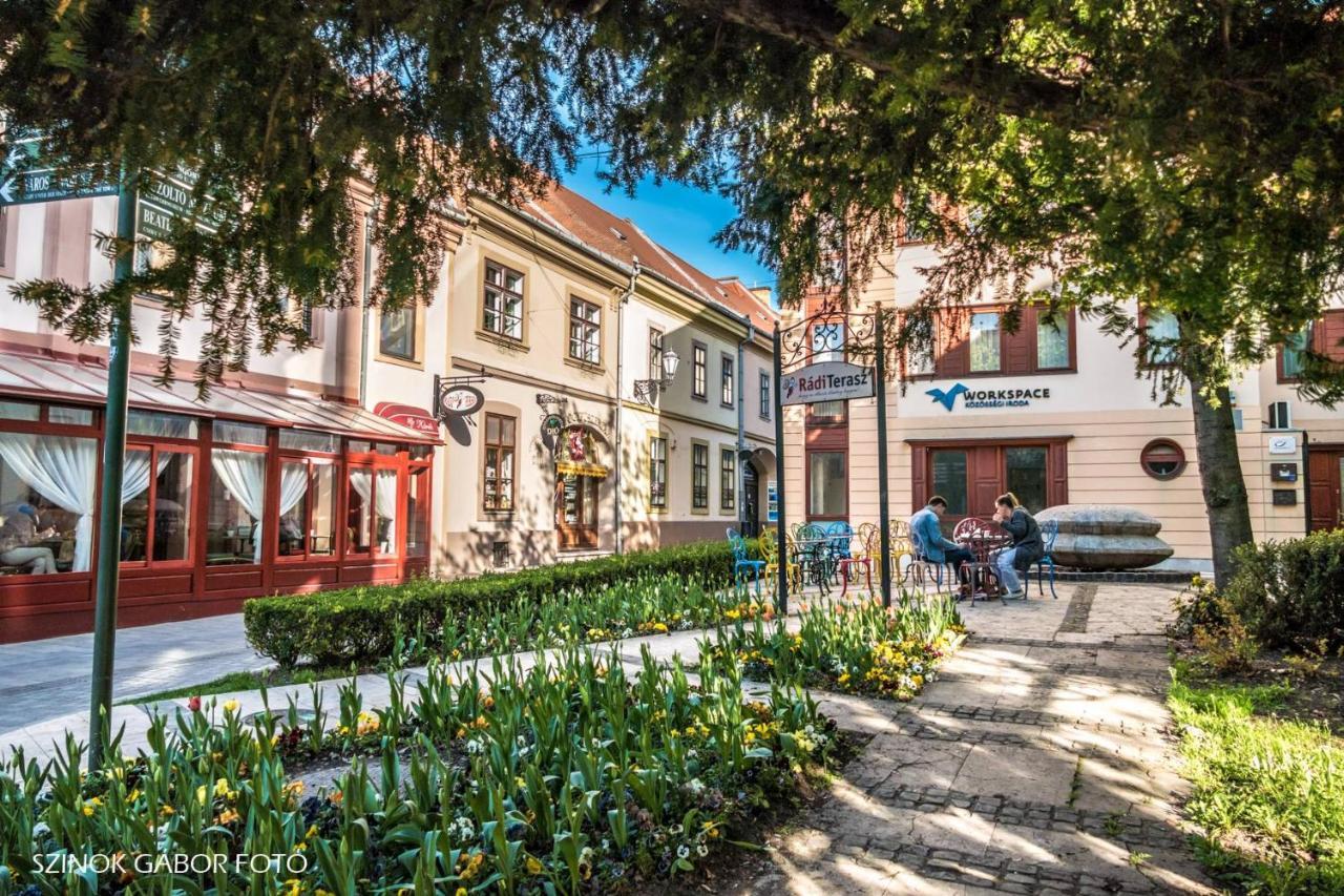 Albina Apartman Erlau Exterior foto